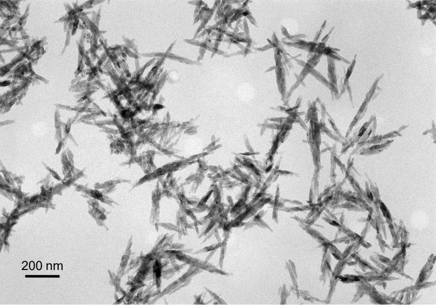 Abbildung 2: Visualisierung der Nadelstruktur und Größe der Hydroxylapatit-Kristalle mit Transmissionselektronenmikroskopie.
