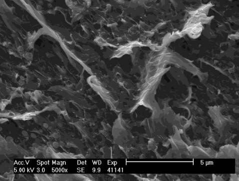 Abb. 3: Metallunterseite des Referenzbereichs mit anhaftendem Polymer