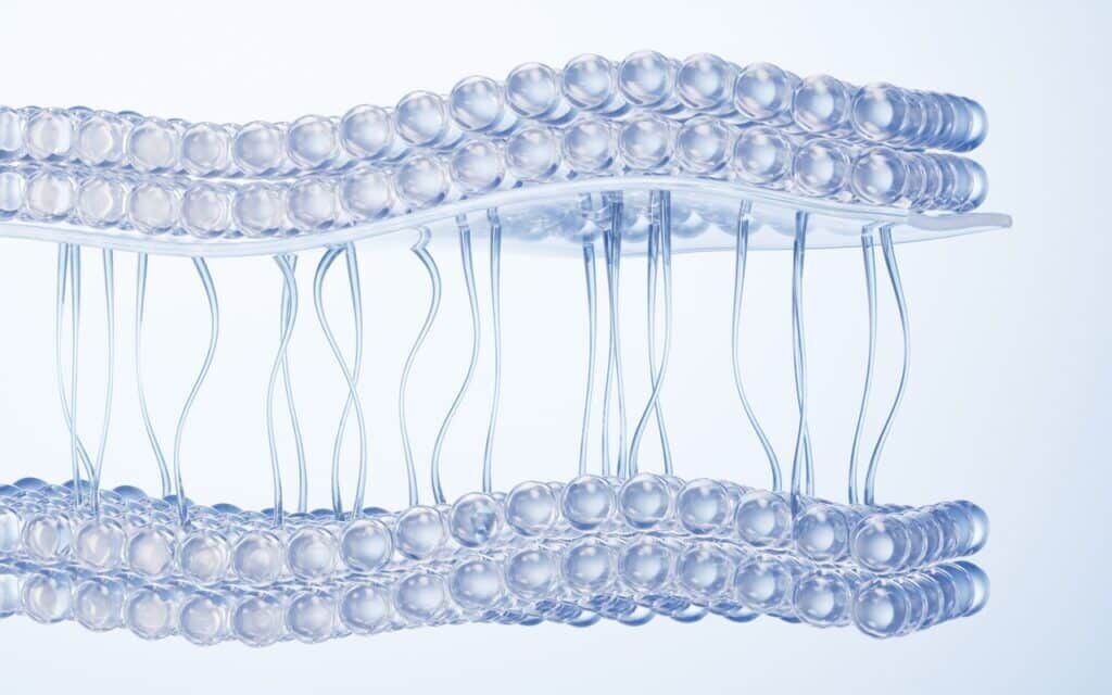 Membrane Analyse - Medizintechnik Materialprüfung ASO Labor